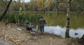 Ярославцы взбунтовались против лодок с эхолотами и просят ограничить вылов рыбы