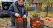 Подсмотрела у соседа простую хитрость с обычными вещами: теперь экономлю на инвентаре и упрощаю работу на даче