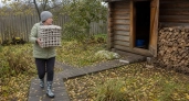 Яичные ячейки заполняю простым составом: запасаюсь на зиму «огненными таблетками» для быстрой растопки печи