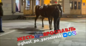 В центре Ярославля кони оставили отходы жизнедеятельности прямо под ногами туристов и местных