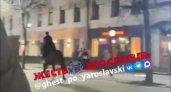 Конный выгул на улице Кирова в Ярославле закончится штрафами от мэрии