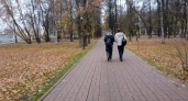 Плюс одиннадцать и солнце: в Ярославле конец октября удивит нетипичным теплом
