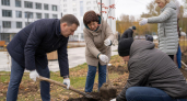 В Ярославле у стен детской больницы заложили Аллею народов России