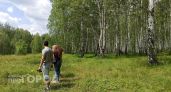 Под Переславлем собственник 85 гектаров три года обещал расчистить лес и получил штраф