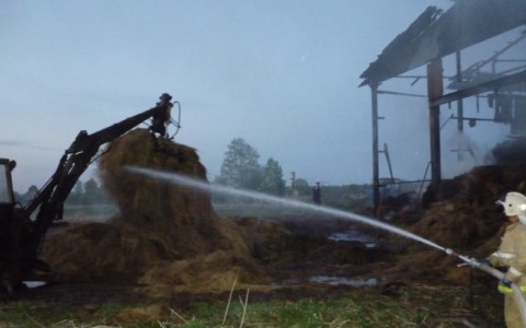 В Ярославской области сгорел сарай с сеном