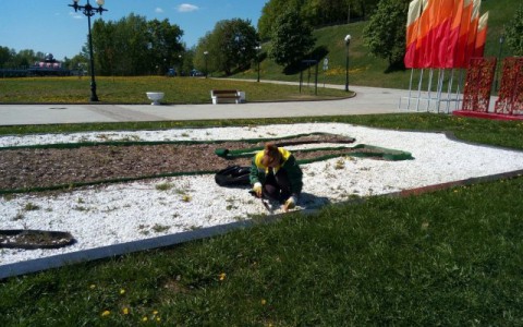 В Ярославле будет высажено 900 тысяч штук цветочной рассады