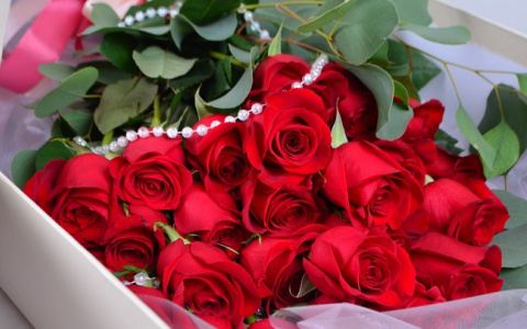 Живые цветы среди зимы: доступная реальность