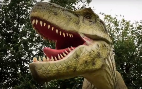 В Ярославле откроется парк Юрского периода с динозаврами: где он находится и сколько стоит билет. Видео