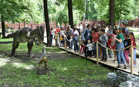В Ярославле затопило парк динозавров: видео