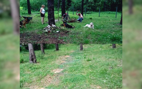 Месть собакам: в Ярославле новую площадку разворовали вандалы. Фото