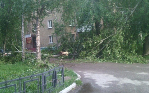 Экстренное предупреждение: на Ярославль надвигается шквалистый ветер