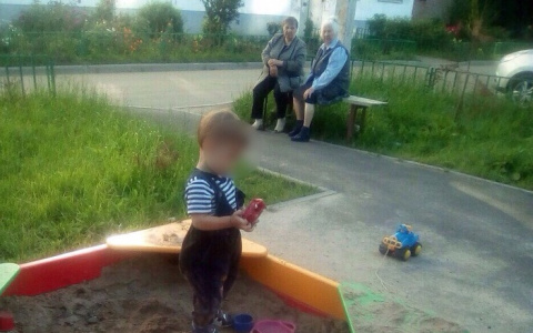 Вон из песочницы: в Ярославле соседи объявляют войны из-за новых детских площадок