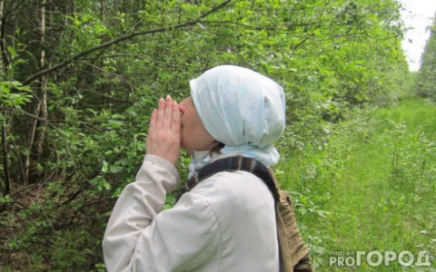 Боялись атаки зверей: в лесу под Ярославлем потерялись грибники