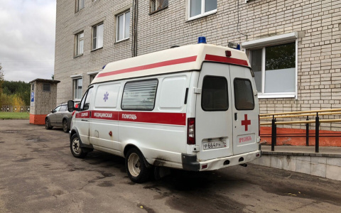 Пятеро в больнице: под Ярославлем микроавтобус врезался в грузовик