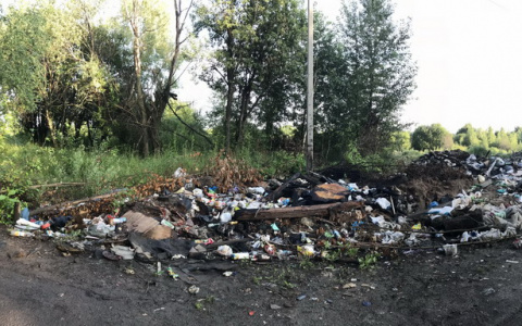 Вонь на все Брагино: чиновники сами уберут мусор