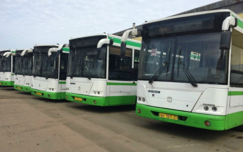Пятнадцатиметровые автобусы появились в Ярославской области