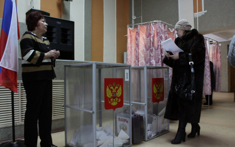 Независимые наблюдатели следят за дополнительными выборами в Ярославской области
