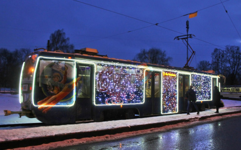 Расписание движения "волшебного трамвая" опубликовали в Ярославле