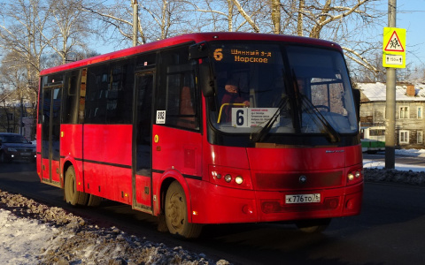 Издевательство над детьми: против отмены автобусов борются ярославцы