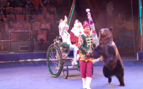 В Ярославском цирке ярославцам раскроют "Тайну пиратов"