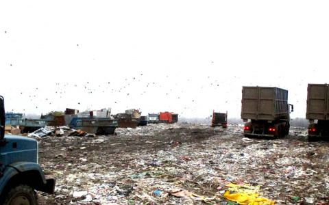 "Земля вздохнула спокойно": московские мусорные караваны перестали идти в Ярославль