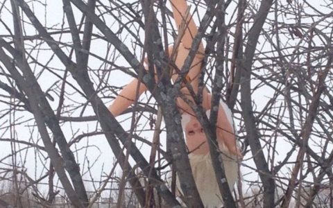 Голые куклы на деревьях: об опасных сатанистах рассказали ярославцам