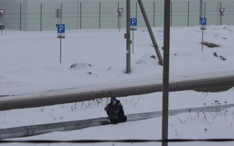 "Греются на теплотрассе": что привело детей на обочину дороги в Ярославле
