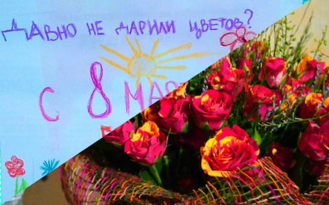 "Какая милота": как экономно поздравить с 8 марта, узнали ярославцы