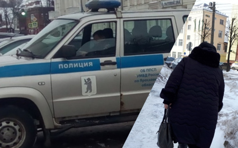 Увязла в снегу: беспомощную женщину спасли в Ярославле