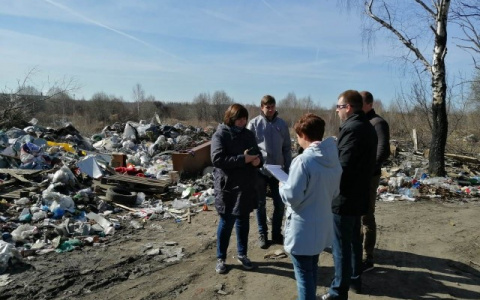 «Город – мусорная свалка»: как власти борются с отходами в Ярославле