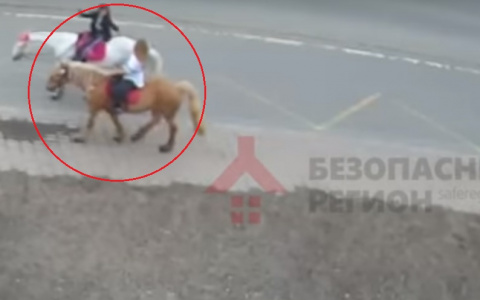 Лошади загадили город: почему ярославцы просят вернуть Слепцова. Видео
