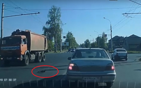 Людей бы так пропускали: водители остановились, чтобы уступить дорогу уткам в Рыбинске. Видео