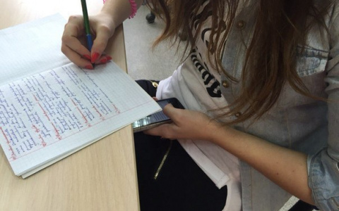 Ноль баллов за все ЕГЭ из-за ручки: почему школьники провалили экзамены