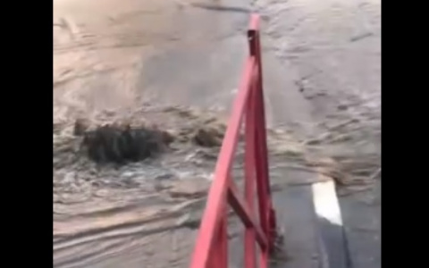 «Живем, как в Техасе»: в Ярославле затопило остановку около ВУЗа. Видео