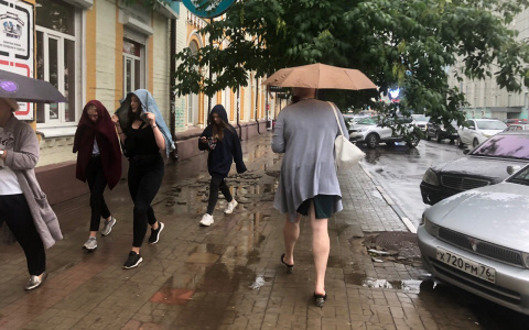 Зонт станет угрозой для жизни: "желтый" уровень опасности объявлен в Ярославле