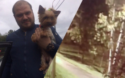 Хозяин растерзанной собаки о трагедии в Ярославле: "Дело стоит на месте"