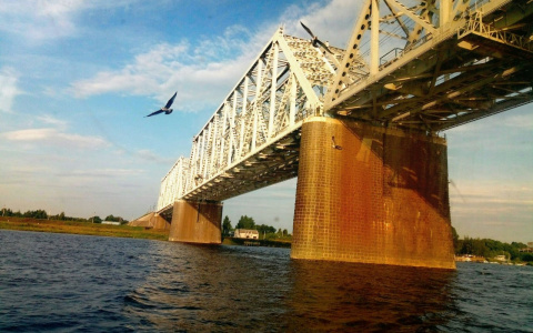 Ликуйте, заволжане: место для нового моста выбрали в Ярославле