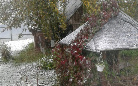Первый снег выпал в Ярославле: каким будет конец осени