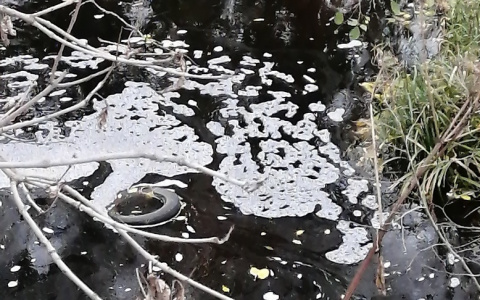"Запахло московским мусором": ярославцы рассказали о почерневшей реке