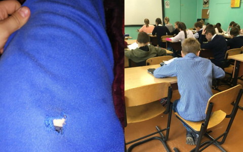 "Порвал его одежду": ярославна о завуче, который унизил ее ребенка в школе