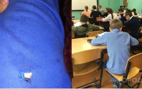 "Преподавателей зашугали": ярославцы поддержали завуча, порвавшего школьнику одежду