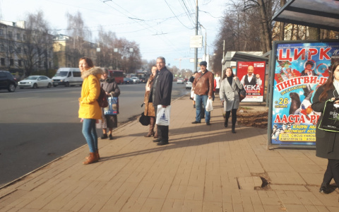 Интимно, но при всех: любвеобильная водитель автобуса возмутила ярославцев