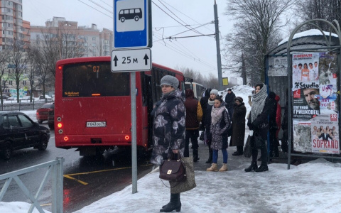 "Билеты важнее, чем жизнь": о ЧП в автобусе с водителем рассказал молодая мама из Ярославля