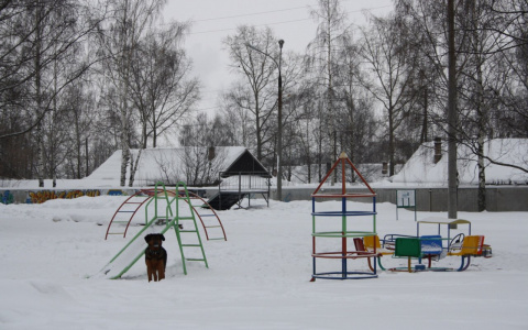 Крикнуть не успела: за рухнувшие на девочку ворота школа заплатит компенсацию