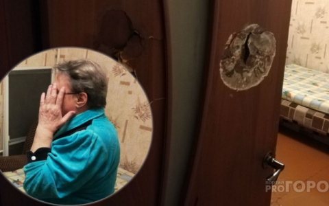 Заманила сладеньким: девушка с тортом обокрала бабулю под Ярославлем