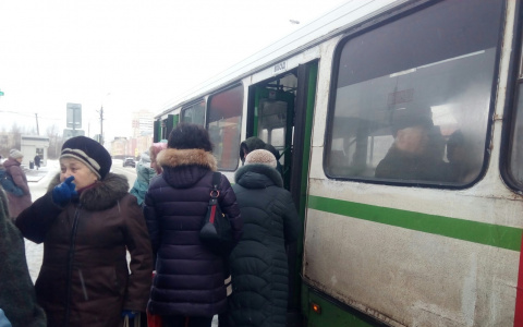 В Ярославле обновили схему движения автобусов: куда жаловаться