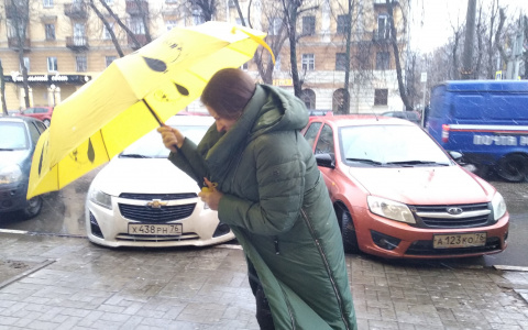 Пожары, засухи и ливни: ярославцев  напугали погодными аномалиями