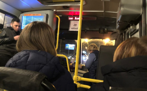 "Еще дорогу сделайте": мэрия поверила жалующимся на маршрутки ярославцам