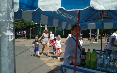 Ждите тропической жары: ярославцам предсказали аномальную весну