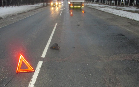 Погибла мгновенно: авто насмерть раздавило пешехода на трассе под Ярославлем